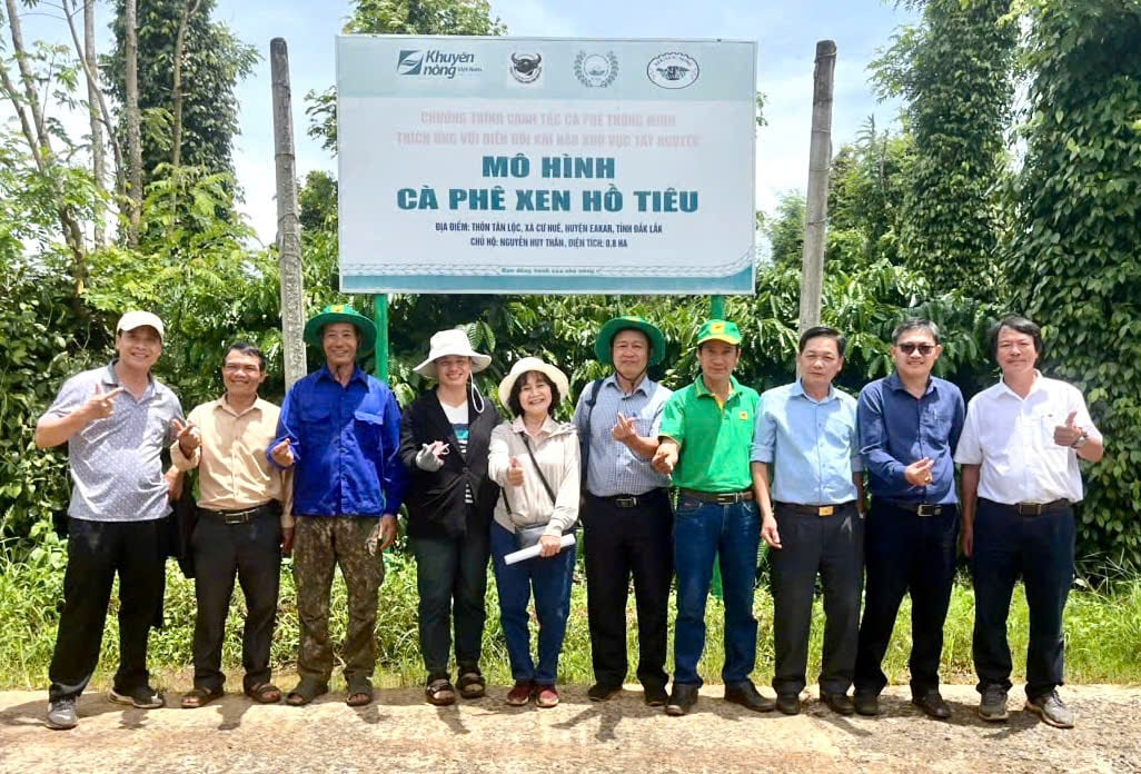 Hiệu quả từ canh tác cà phê thông minh: Những con số biết nói