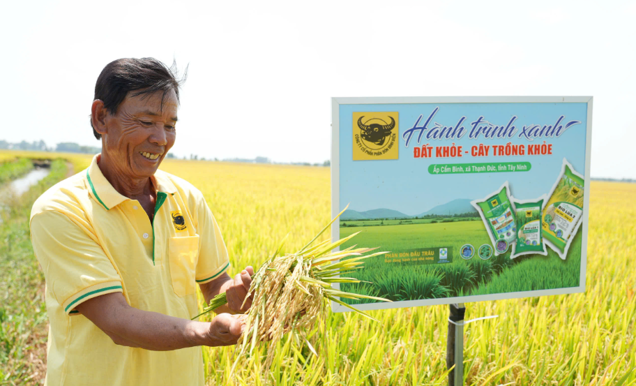 NIỀM VUI TRÚNG MÙA TỪ HÀNH TRÌNH XANH: BÍ QUYẾT “ĐẤT KHỎE – CÂY TRỒNG KHỎE” ĐỂ TIẾT KIỆM CHI PHÍ CANH TÁC