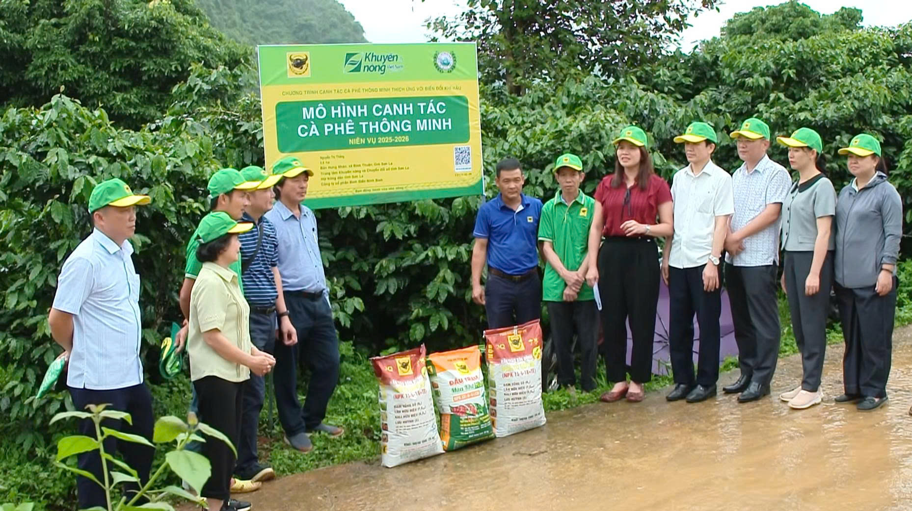 Bản lĩnh Arabica Sơn La: Bí quyết canh tác vùng cao vươn tầm vị thế cà phê Việt